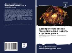 Buchcover von Дозопрогностическая геометрическая модель в органах риска