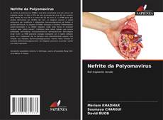 Buchcover von Nefrite da Polyomavirus