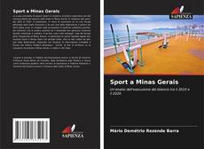 Borítókép a  Sport a Minas Gerais - hoz