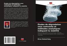 Capa do livro de Études de dégradation sous contrainte et méthodes analytiques indiquant la stabilité 