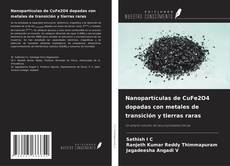 Bookcover of Nanopartículas de CuFe2O4 dopadas con metales de transición y tierras raras