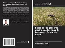 Buchcover von Peces en las praderas marinas de las islas de Lavezares, Samar del Norte