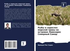 Buchcover von Рыбы в зарослях морской травы на островах Лавезарес Северный Самар