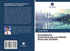 Serologische Untersuchung von Maedi-Visna bei Schafen kitap kapağı