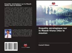 Bookcover of Enquête sérologique sur le Maedi-Visna chez le mouton