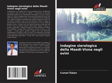 Capa do livro de Indagine sierologica della Maedi-Visna negli ovini 