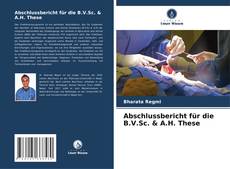 Abschlussbericht für die B.V.Sc. & A.H. These kitap kapağı
