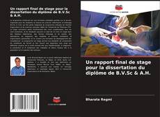 Buchcover von Un rapport final de stage pour la dissertation du diplôme de B.V.Sc & A.H.