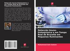 Detecção Imuno-histoquímica e em Tempo Real de Brucella em Pequenos Ruminantes kitap kapağı