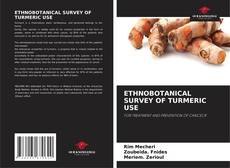 Buchcover von ETHNOBOTANICAL SURVEY OF TURMERIC USE