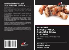 Portada del libro de INDAGINE ETNOBOTANICA SULL'USO DELLA CURCUMA