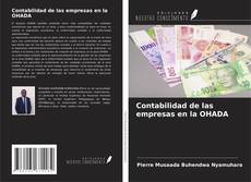 Contabilidad de las empresas en la OHADA kitap kapağı