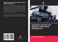 Portada del libro de Indústria mineira em Gujarat: Uma Nova Perspectiva