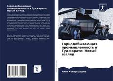 Горнодобывающая промышленность в Гуджарате: Новый взгляд kitap kapağı