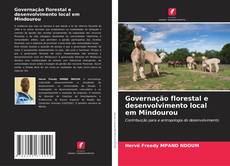 Обложка Governação florestal e desenvolvimento local em Mindourou