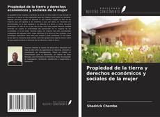 Buchcover von Propiedad de la tierra y derechos económicos y sociales de la mujer