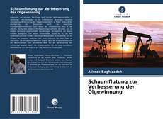Capa do livro de Schaumflutung zur Verbesserung der Ölgewinnung 