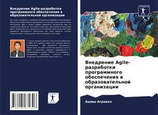 Внедрение Agile-разработки программного обеспечения в образовательной организации kitap kapağı