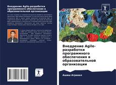 Copertina di Внедрение Agile-разработки программного обеспечения в образовательной организации