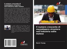 Capa do livro de Il numero crescente di manodopera straniera nell'industria edile malese 