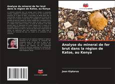 Capa do livro de Analyse du minerai de fer brut dans la région de Katse, au Kenya 