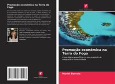 Promoção económica na Terra do Fogo kitap kapağı