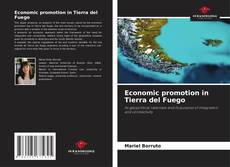 Economic promotion in Tierra del Fuego的封面