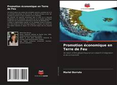 Bookcover of Promotion économique en Terre de Feu