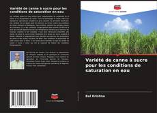 Portada del libro de Variété de canne à sucre pour les conditions de saturation en eau