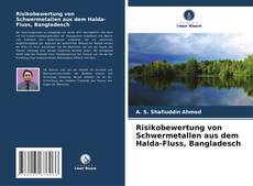 Risikobewertung von Schwermetallen aus dem Halda-Fluss, Bangladesch kitap kapağı