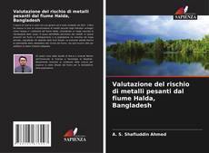 Обложка Valutazione del rischio di metalli pesanti dal fiume Halda, Bangladesh