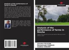 Analysis of the performance of farms in Hinche kitap kapağı
