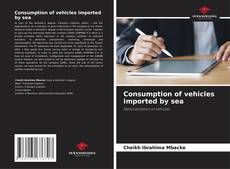 Buchcover von Consumption of vehicles imported by sea