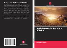 Reciclagem de Resíduos Sólidos kitap kapağı