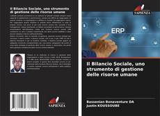 Capa do livro de Il Bilancio Sociale, uno strumento di gestione delle risorse umane 