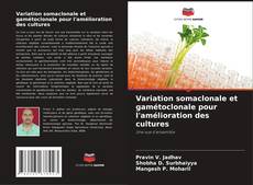 Buchcover von Variation somaclonale et gamétoclonale pour l'amélioration des cultures
