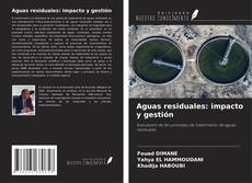 Bookcover of Aguas residuales: impacto y gestión