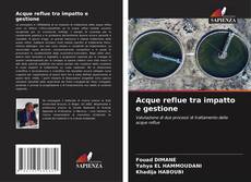 Capa do livro de Acque reflue tra impatto e gestione 