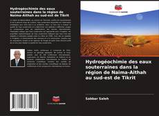 Обложка Hydrogéochimie des eaux souterraines dans la région de Naima-Aithah au sud-est de Tikrit