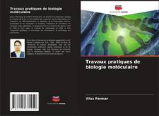 Buchcover von Travaux pratiques de biologie moléculaire