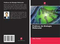 Práticas de Biologia Molecular的封面