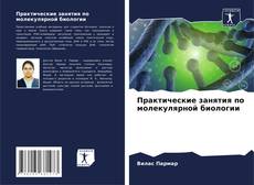 Couverture de Практические занятия по молекулярной биологии