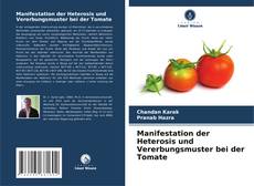 Portada del libro de Manifestation der Heterosis und Vererbungsmuster bei der Tomate