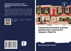 Buchcover von Социологический анализ домашнего детского труда в Кветте