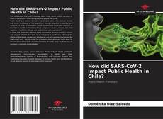 Capa do livro de How did SARS-CoV-2 impact Public Health in Chile? 