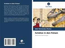 Capa do livro de Schätze in den Felsen 