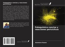 Buchcover von Fotoquímica concisa y reacciones pericíclicas