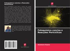 Fotoquímica concisa e Reacções Pericíclicas kitap kapağı