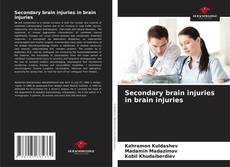 Couverture de Secondary brain injuries in brain injuries