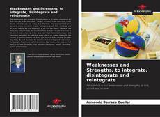 Weaknesses and Strengths, to integrate, disintegrate and reintegrate kitap kapağı